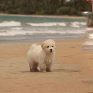 Meet your Posher, Delia